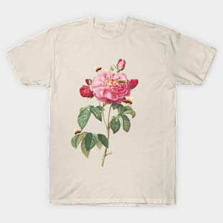 Enchanted Elegance: A Vintage Rose's Dance with Bees T-Shirt